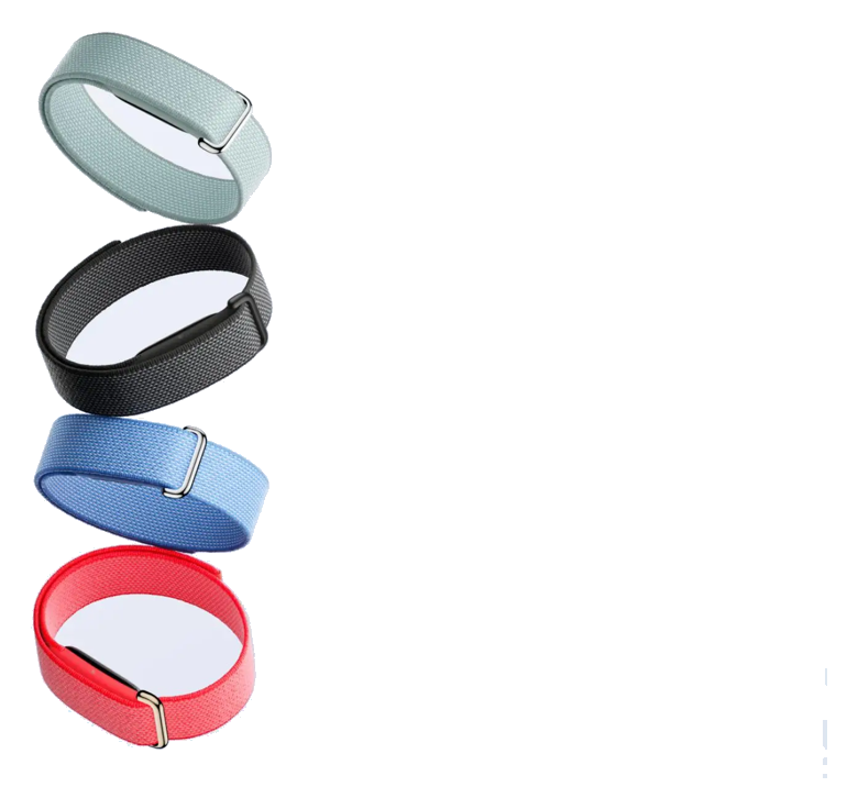 Fitbit Air